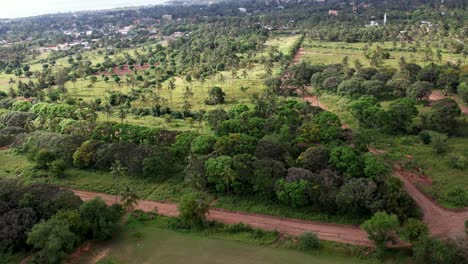 Panoramic-aerial-view-over-a-tropical-landscape-with-dirt-roads-and-palm-trees