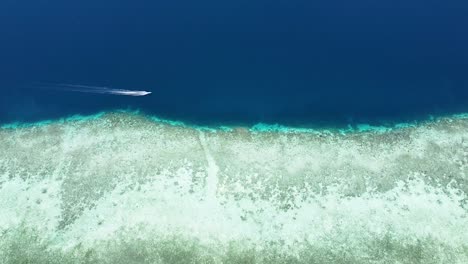 Vista-Aérea-De-Pájaros-De-Un-Barco-Que-Viaja-En-Un-Océano-Azul-Profundo-Junto-A-Un-Arrecife-De-Coral-En-Aguas-Cristalinas-Del-Océano-En-Los-Trópicos-De-Papua-Occidental,-Indonesia