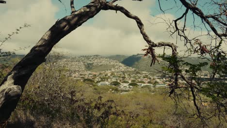 static-shot-though-the-tree-branches-of-a-town-set-in-the-mountains-on-Oahu-Hawaii-near-Diamond-Head
