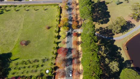 Aerial-footage-of-cars-driving-along-hour-avenue-in-autumn