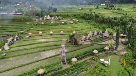 Ökotourismus-Und-Traditionelle-Hütten-Glamping-Inmitten-Grüner-Landschaft-In-Maha-Gangga,-Bali