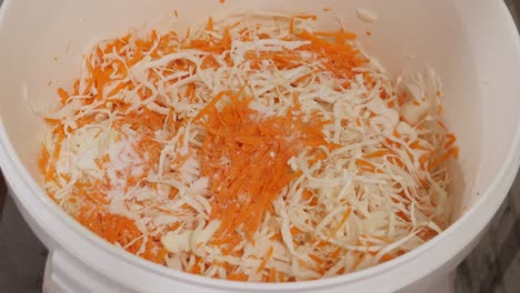 Adding-ingredients-to-sliced-cabbage-and-carrots