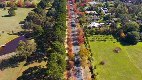 Drone-flying-over-the-main-road-of-Honour-Avenue