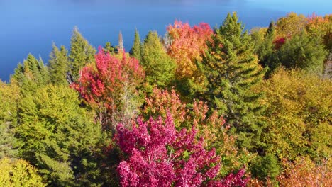 Luftdrohne-über-Farbenfroher-Herbstlandschaft-Mit-Grünen,-Gelb-roten-Bäumen,-Wasserbucht-In-Montreal,-Kanada