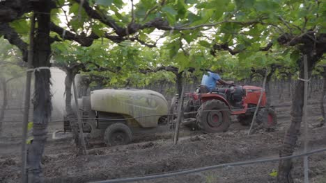 A-tractor-spraying-pesticides-to-the-vineyard,-Grape-vineyard-fields