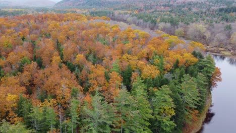 Aerial-view-of-riverside-forest-fall-foliage-in-Mount-Washington,-New-Hampshire