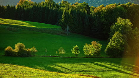 Clearing-of-morning-mist-green-hills-and-trees,-sunrise-shadows-moving-time-lapse