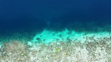 Vogelperspektive-Von-Oben-Nach-Unten:-Schimmerndes-Wasser-Mit-Korallenriffen-Im-Tauchziel-Raja-Ampat,-West-Papua,-Indonesien