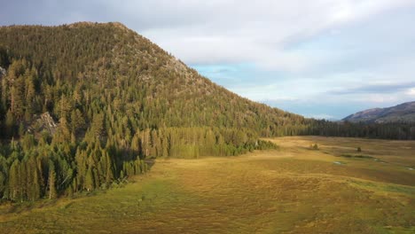 Aerial-view-of-Mountain-meadow-in-California-off-of-highway-89,-Grass-lake