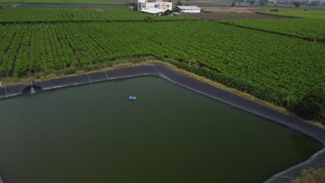 Cinematic-shot-of-grape-vineyards-agricultural-field-irrigation-pond-and-green-landscape,-India