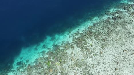 Luftaufnahme-Aus-Der-Vogelperspektive-Von-Schimmerndem-Kristallklarem-Wasser,-Das-In-Einen-Tiefblauen-Ozean-Mit-Korallenriffen-In-Raja-Ampat,-West-Papua,-Indonesien-übergeht