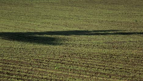 Shadow-of-a-wind-turbine-stretching-across-a-lush-green-field,-early-morning-light