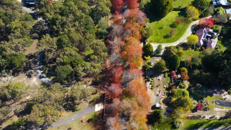 Cinematic-footage-above-honour-avenue-by-drone