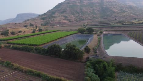 Drone-shot-of-grape-vineyard-agricultural-fields-irrigation-ponds-in-the-mountains,-Maharashtra,-India