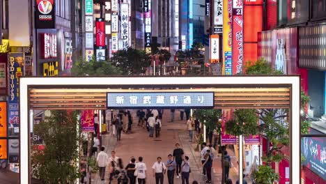 Nachtzeitraffer-Von-Leuchtreklamen-Und-Lichtern-In-Der-Fußgängerzone-Der-Innenstadt-In-Der-Musashino-Street-In-Shinjuku,-Tokio,-Japan