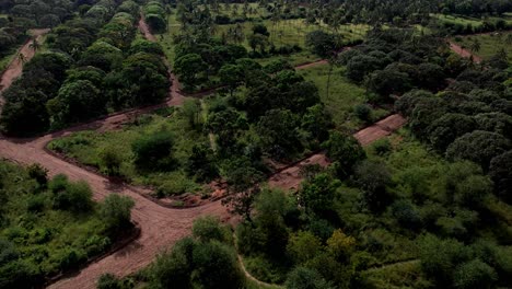 Panoramic-aerial-view-of-a-tropical-landscape-crisscrossed-with-dirt-roads-in-Kenya
