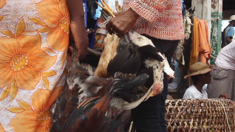 Los-Lugareños-Tienen-Pollos-Vivos-En-El-Mercado-De-Farafangana,-Madagascar
