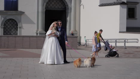 Newlyweds-getting-picture-with-their-dogs,-slow-motion