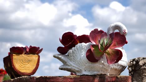 Succulents-On-Swan-Shaped-Pot-In-The-Garden