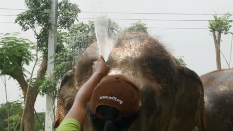 Woman-showers-elephant-with-a-hose-at-an-ethical-elephant-sanctuary
