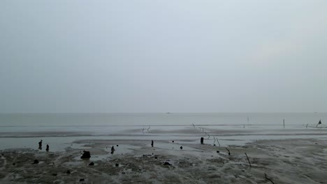Wet-beach-of-Bangladesh-coastline,-dolly-backward-view