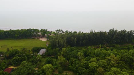 Vista-Aérea-Del-Bosque-Jhau-De-Kuakata-En-Bangladesh