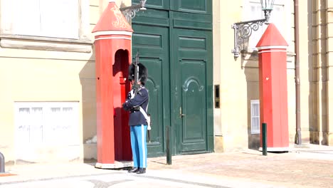 Royal-Danish-guard-in-front-of-Amalienborg-Palace,-holding-gun,-wide-full-shot