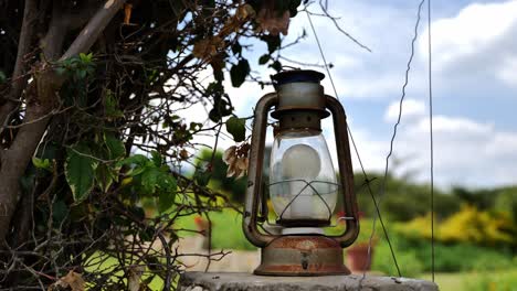 Rusty-Oil-Lamp-With-Lightbulb-Next-To-A-Tree