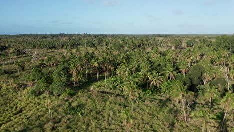 Aerial-View-of-Tonga,-Polynesia