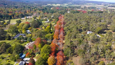 Aerial-view-of-Honour-Avenue-in-macedon-ranges,-Melbourne,-Victoria,-Australia