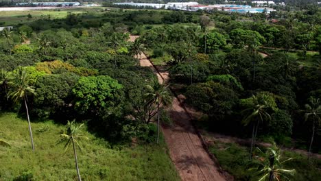 Aerial-view-of-nature-with-palm-trees-and-forest-on-the-outskirts-of-a-Kenyan-city