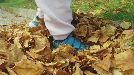 Close-up-of-a-toddler-stomping-on-dry-leaves-while-wearing-Adidas-shoes
