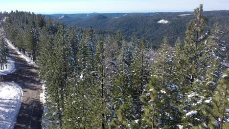 Aerial-View-of-Snow-Capped-Pine-Trees