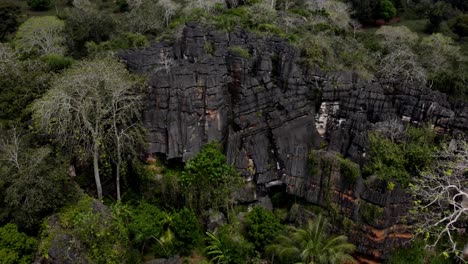 Rising-drone-footage-of-a-rock-formation-overgrown-by-bush-and-palm-trees