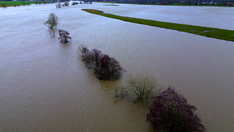 Baumwipfel-Ragen-über-Das-Wasser,-Nachdem-Die-Maas-In-Limburg-überschwemmt-Wurde