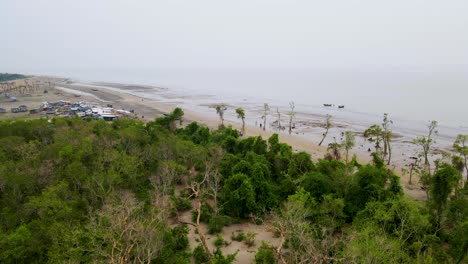 Laubmangrovenwald-In-Kuakata,-Bangladesch,-Strandaufnahmen,-Aufgenommen-Von-Einer-Drohne
