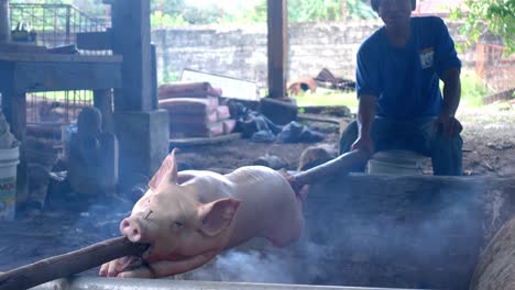 Barbecue-grill-roasting-whole-pork-on-skewer,-delicious-pig
