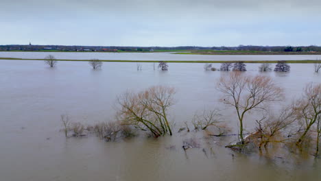 Crane-up-from-treetops-rising-above-water-in-flooded-rural-water-landscape