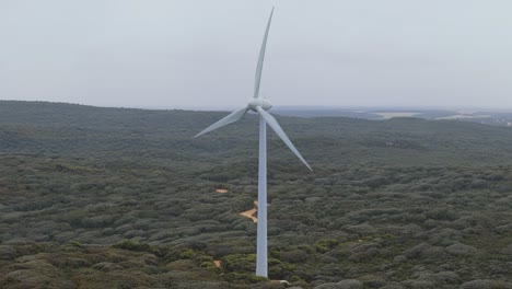 Parque-Eólico-En-Albany,-Australia-Occidental,-Produciendo-Energía-Girando-Lentamente