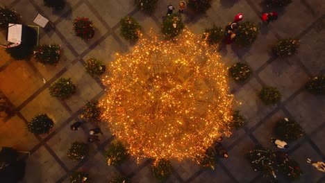 Christmas-Tree-on-the-square-with-people-and-other-small-trees-at-night---top-down-view