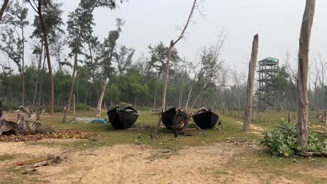 Cinematic-shot-of-three-old-fishing-boats-kept-in-between-a-forest-in-Bengal,-India