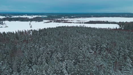 Flying-over-a-dusk-forest-in-Lapland-wilderness-woodlands
