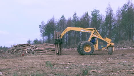 Schwere-LKW-Maschine,-Die-Holzstämme-In-Der-Holzfabrik-Transportiert,-Weitwinkelaufnahme