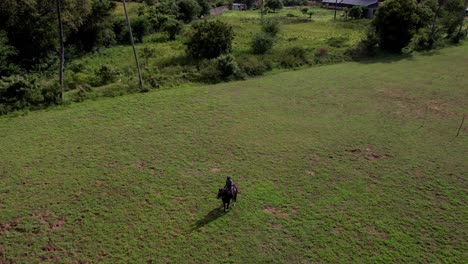 Aerial-footage-of-a-horse-rider-in-a-green-pasture