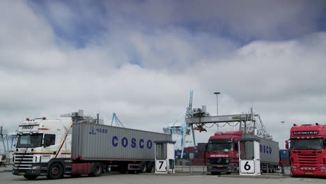 LKWs-Mit-COSCO-Transportcontainern-An-Einem-Hafenterminal-Mit-Portalkränen-Im-Hintergrund