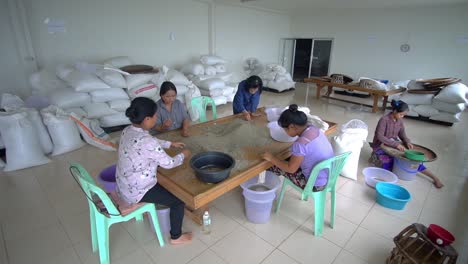 Workers-checking-raw-coffee-seed