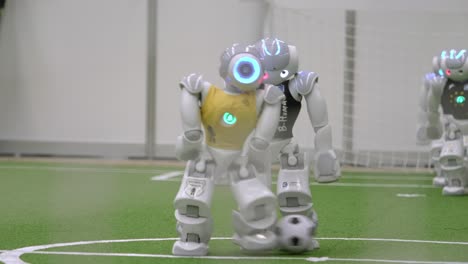 Nao-Roboter-Rennen-Bei-Einem-Turnier-In-Montreal-Auf-Den-Fußball-Zu-Und-Fallen-Dann-Um