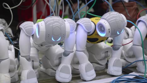 Collection-Of-Nao-Robots-Wired-Up-And-BEing-Charged-On-The-Floor