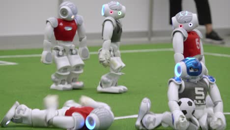 Nao-Roboter-Fallen-Bei-Einem-Fußballturnier-Um-Und-Stehen-Wieder-Auf