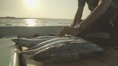 Fischer-Zerlegt-Frischen-Fisch-Auf-Einem-Fahrenden-Boot-Im-Oman